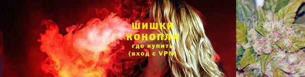 ECSTASY Новокубанск