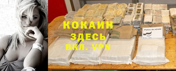 ECSTASY Новокубанск