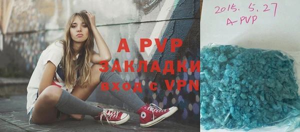 PSILOCYBIN Навашино