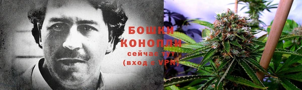 амф Нефтегорск