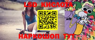 тгк Камышлов