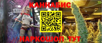 стаф Кандалакша