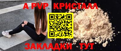 стаф Кандалакша