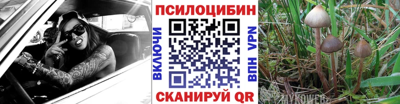 Галлюциногенные грибы Cubensis  дарнет шоп  Чусовой 