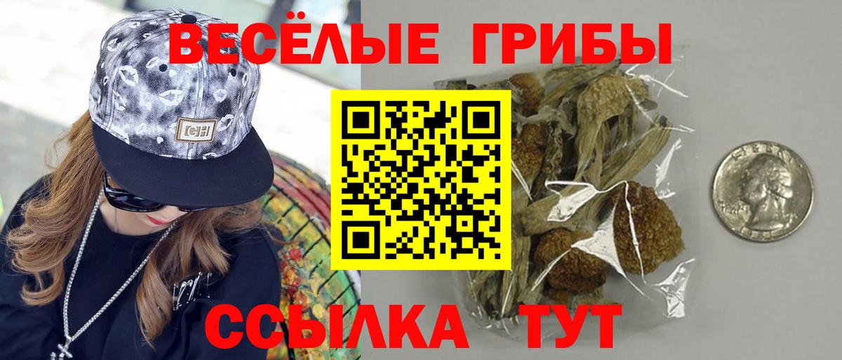 Галлюциногенные грибы мухоморы  Галлюциногенные грибы прущие грибы  Чусовой  Вход с VPN 