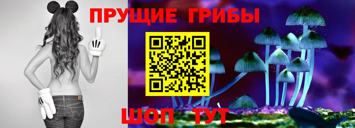Галлюциногенные грибы Psilocybe Чусовой