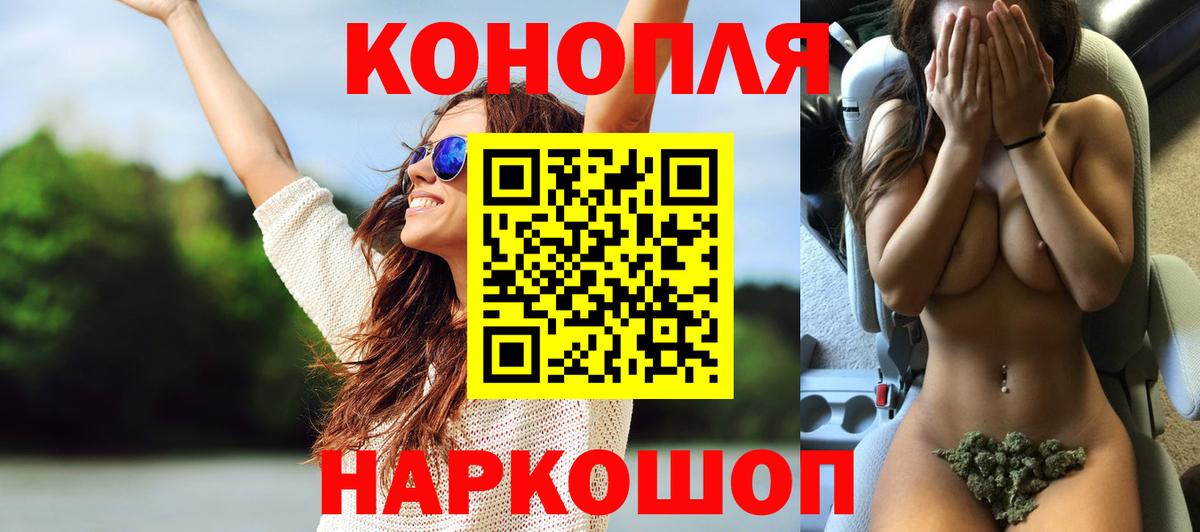 Конопля сатива Чусовой