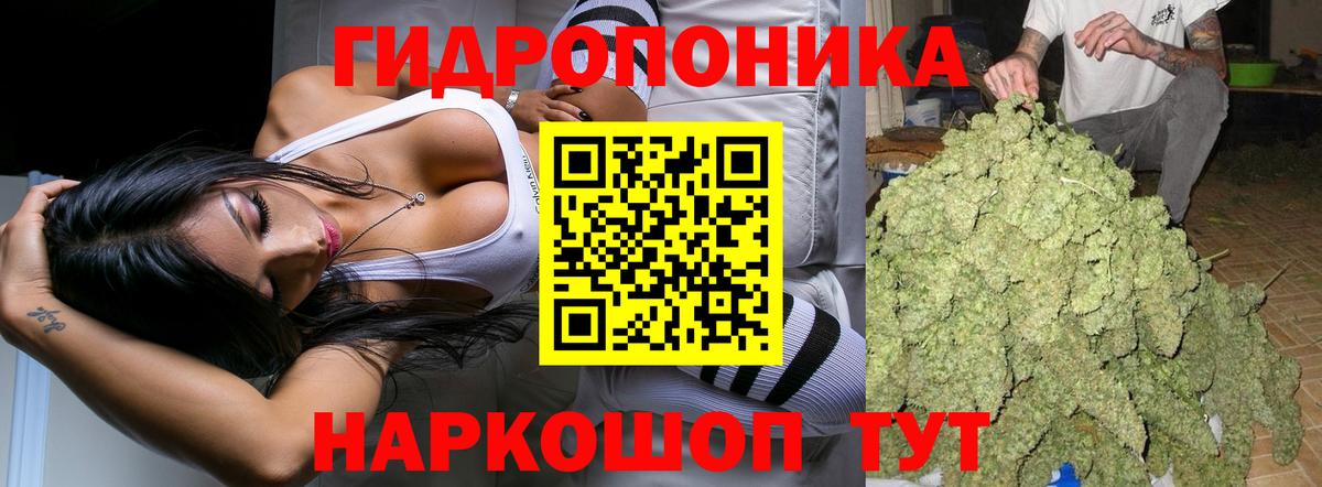 Конопля MAZAR  Канабис планчик  Вход с VPN  Чусовой  Марихуана марихуана 